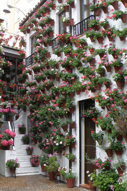 Cordoba Courtyards by Bike, Electric Bike - Who Will Love This Tour?