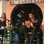 Cordoba Flamenco Show at Tablao El Cardenal with a Drink - The Itinerary Breakdown