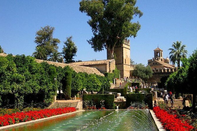 Cordoba Guided Tour with Mosque /Cathedral from Seville - Transportation and Group Size