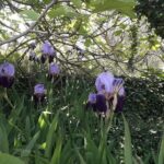 Corfu Countryside Hiking Tour - Who Would Love This Tour?