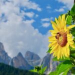 Cortina & Dolomites Small Group full Day tour from Venice - Real Traveler Perspectives