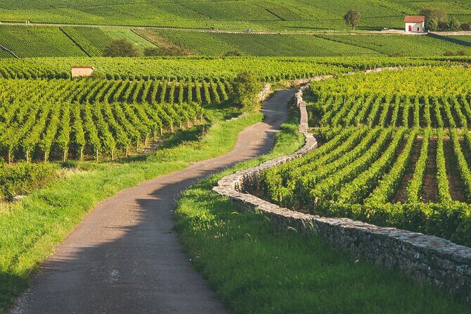 Côte de Beaune Half-Day Wine Tour from Dijon - Final Thoughts: Is It Worth It?