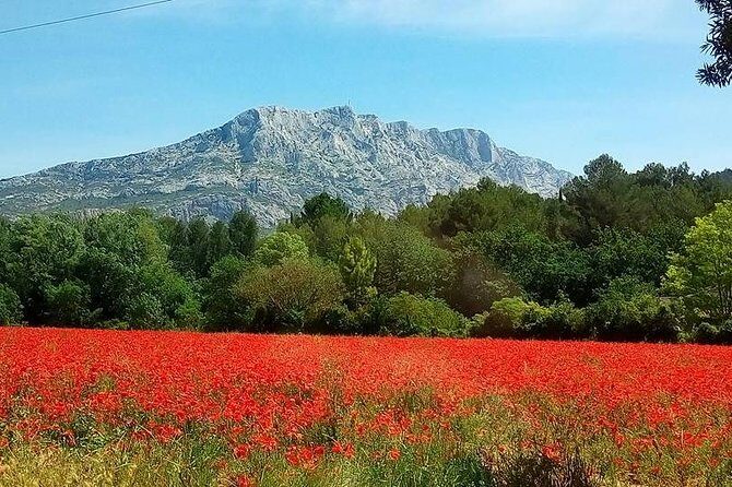 Cotes de Provence Wine Tour from Aix-en-Provence - Who Will Love This Tour?
