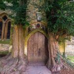 Cotswolds Full-Day Tour From Birmingham - What Makes This Tour Stand Out?