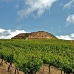 Crete Wine and Olive Oil Tour - Key Points