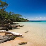 Cruise of the 2 Islands: Porquerolles & Port-Cros with stops - Pricing and Value