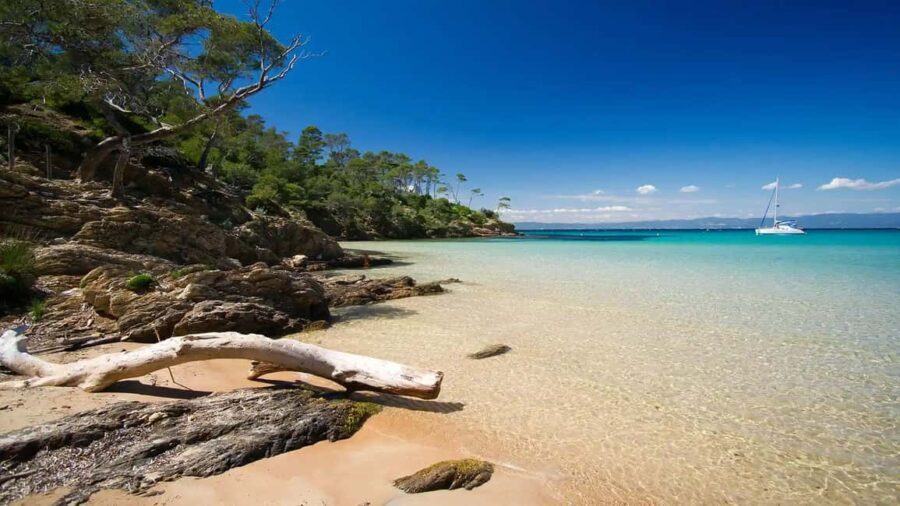 Cruise of the 2 Islands: Porquerolles & Port-Cros with stops - Pricing and Value