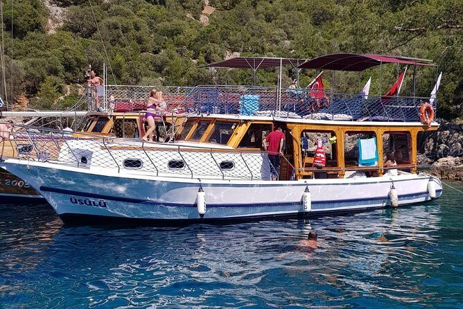 Daily Boat Trip - Analyzing the Value and Practical Aspects