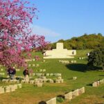 Daily Gallipoli Tour from Istanbul - Real Travelers’ Insights and Experiences