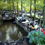Daily Sapanca Lake & Masukiye Tour - Group Tour Basis - The Highlights That Make It Worthwhile