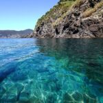 Daily Tour 5 Terre - The Experience: What to Expect