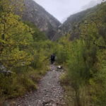 Dajti Cable Car and Shengjergj Waterfall Tour with Lunch - What Makes This Tour Stand Out?