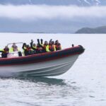 Dalvík: Whale Watching Speedboat Tour - What Makes This Tour Stand Out?