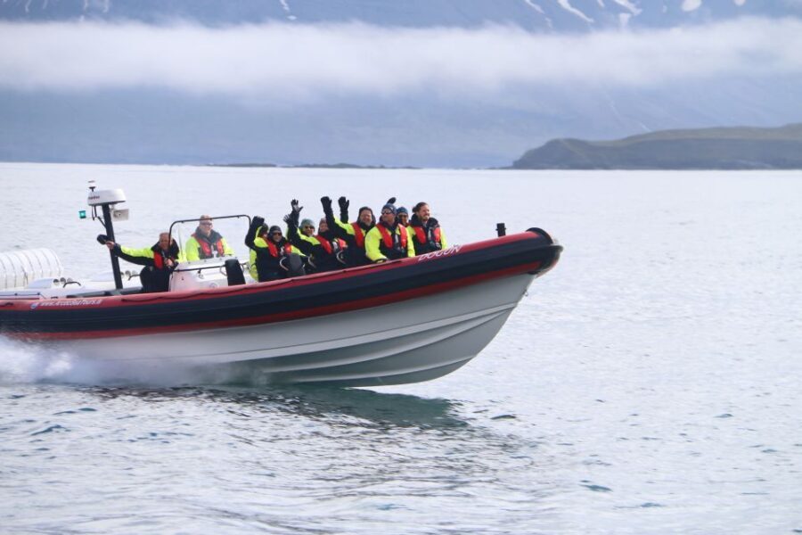 Dalvík: Whale Watching Speedboat Tour - What Makes This Tour Stand Out?