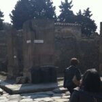 Day trip from Rome to Pompei Mt Vesuvius & Local Guide included - What Makes This Tour a Great Choice?