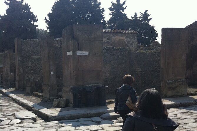 Day trip from Rome to Pompei Mt Vesuvius & Local Guide included - What Makes This Tour a Great Choice?