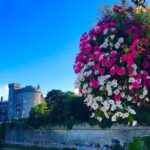 Day Trip to Kilkenny City & Glendalough & Powerscourt Gardens - Who Would Love This Tour?