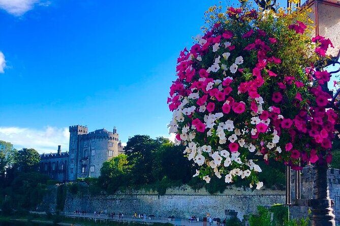 Day Trip to Kilkenny City & Glendalough & Powerscourt Gardens - Who Would Love This Tour?