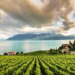 Day Trip to Montreux, Chaplin's World & Chillon Castle& apéritif - The Guides and Their Impact