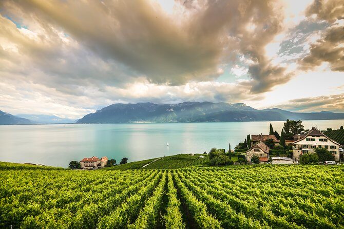 Day Trip to Montreux, Chaplin's World & Chillon Castle& apéritif - The Guides and Their Impact