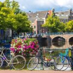 Day Trip To Tulip Gardens Of Keukenhof From Amsterdam: Private & Personalized - What’s Included and Whats Not