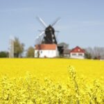 Daytrip Bike Tour on the Swedish Countryside Private - A Closer Look at the Private Swedish Countryside Bike Tour