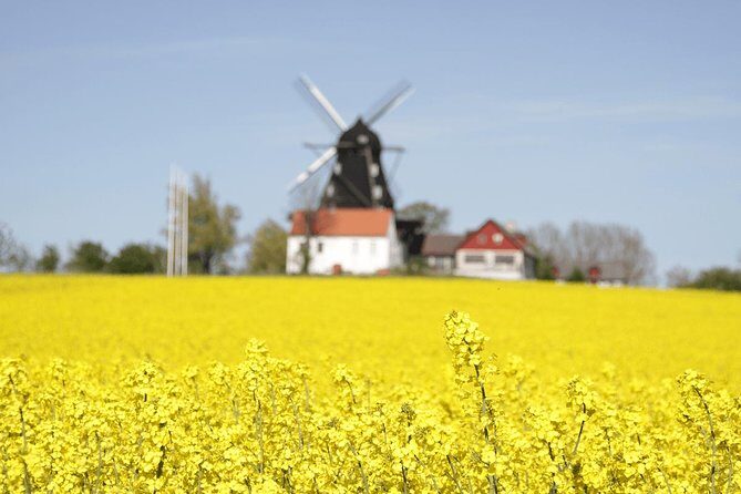 Daytrip Bike Tour on the Swedish Countryside Private - A Closer Look at the Private Swedish Countryside Bike Tour