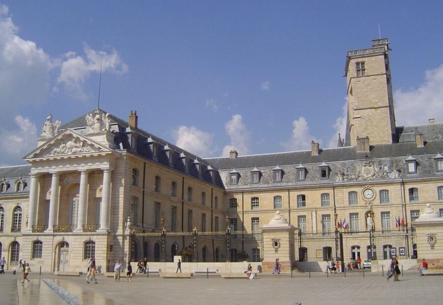 Dijon Private Guided Walking Tour - Why Choose a Private Guided Tour in Dijon?