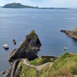 Dingle: Hour Slea Head Drive Tour 4hr - Personal Chauffeur Guide - Who Should Book This Tour?