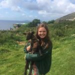 Dingle Peninsula Day Tour from Limerick: Including The Wild Altanic Way - The Sum Up