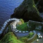 Dingle Peninsula Four Hour Private Tour - Final Thoughts: Who Will Love This Tour?
