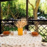 Dining Experience at a local's Home in Stresa with Show Cooking - The Atmosphere and Personal Touches