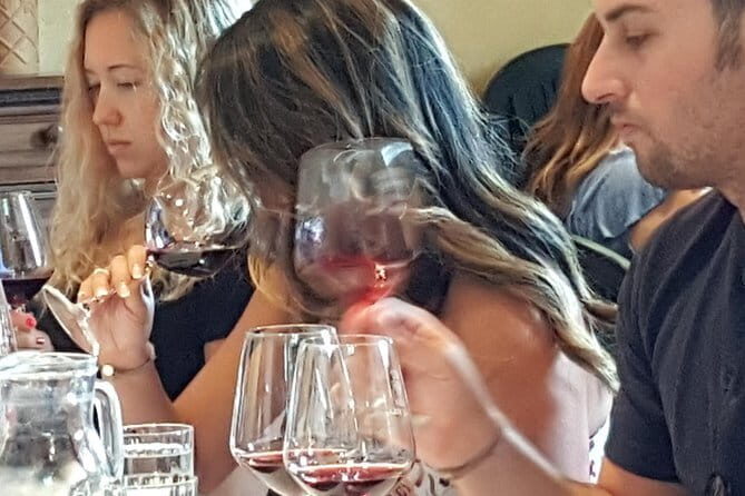 Discover Chianti Through its Wines - Who Will Love This Tour?