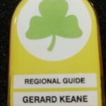 Discover Galway City Walking Tour - Who Will Love This Tour?