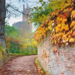 Discover San Miniato - The Sum Up