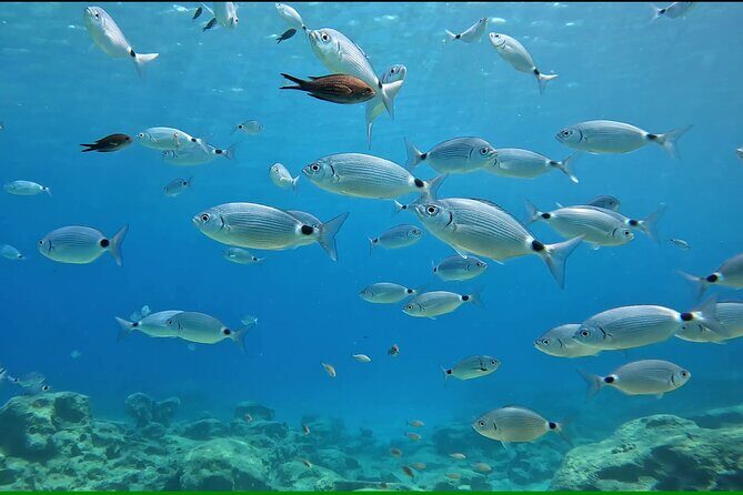 Discover SCUBA Diving with Pissouri Bay Divers - FAQs