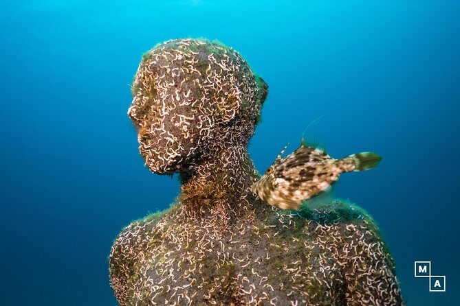 Discover the underwater world of Lanzarote - Who Is This Tour Best Suited For?