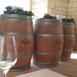 Discover Valle d 'Itria and its wines by ebike - FAQs