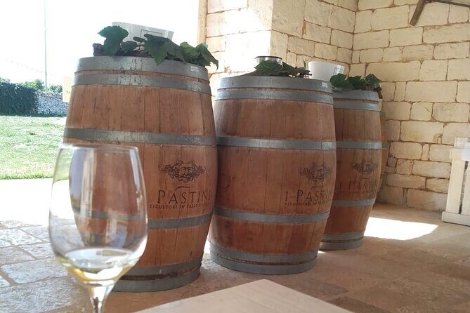 Discover Valle d 'Itria and its wines by ebike - FAQs