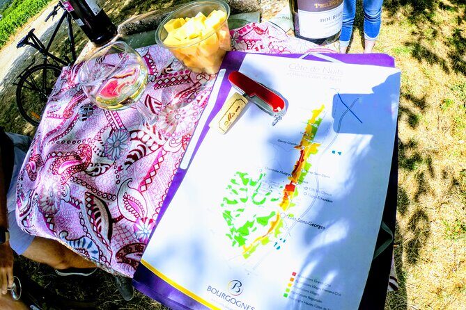 Discovery by bike & Tasting in the vineyards - The Scenic and Cultural Highlights
