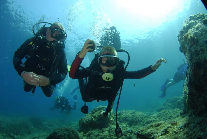 Discovery Dive - 2 hour Uncertified Diver Introductory Dive - What’s Included and Additional Details