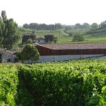 Discovery visit of Château Rol Valentin with tasting - Final Thoughts