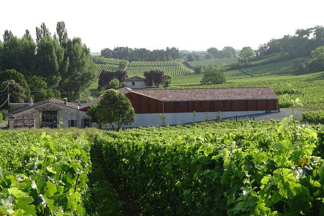 Discovery visit of Château Rol Valentin with tasting - Final Thoughts