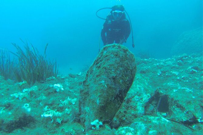 Diving for patented divers - The Dive Sites: Marine Life and Underwater Features