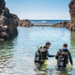 Diving in the Madeira Aquarium - The Itinerary: What to Expect