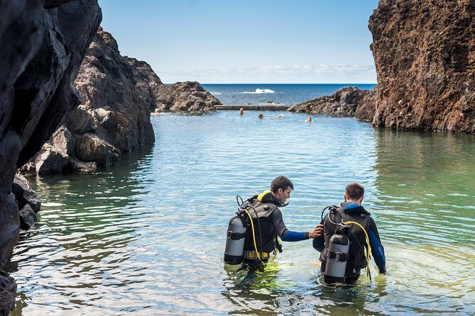Diving in the Madeira Aquarium - The Itinerary: What to Expect