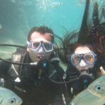 Diving with optional Pick Up - Drop Off from Antalya - Who Should Consider This Tour?