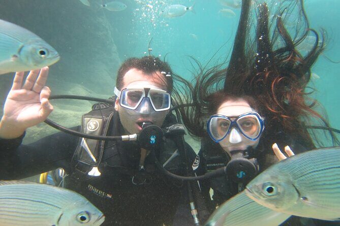 Diving with optional Pick Up - Drop Off from Antalya - Who Should Consider This Tour?
