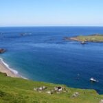 Dolphin and Whale Watching Tour from Dingle - Final Thoughts: Is It Worth It?