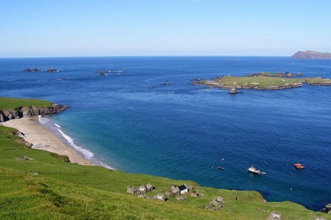 Dolphin and Whale Watching Tour from Dingle - Final Thoughts: Is It Worth It?